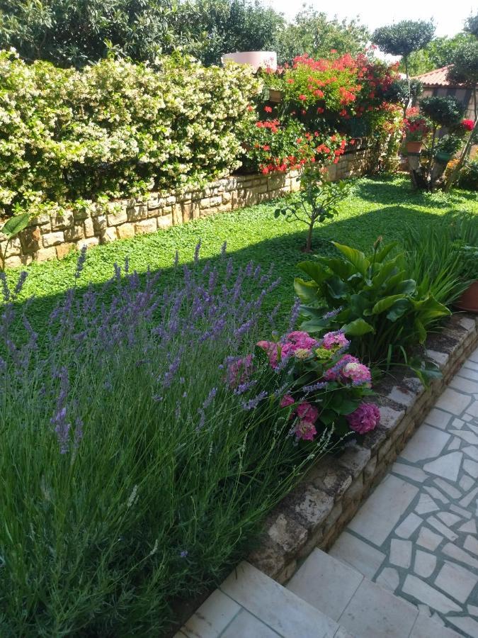 Zelena Oaza Apartment Novigrad Istria Dış mekan fotoğraf