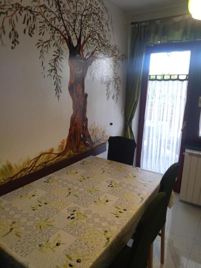 Zelena Oaza Apartment Novigrad Istria Dış mekan fotoğraf