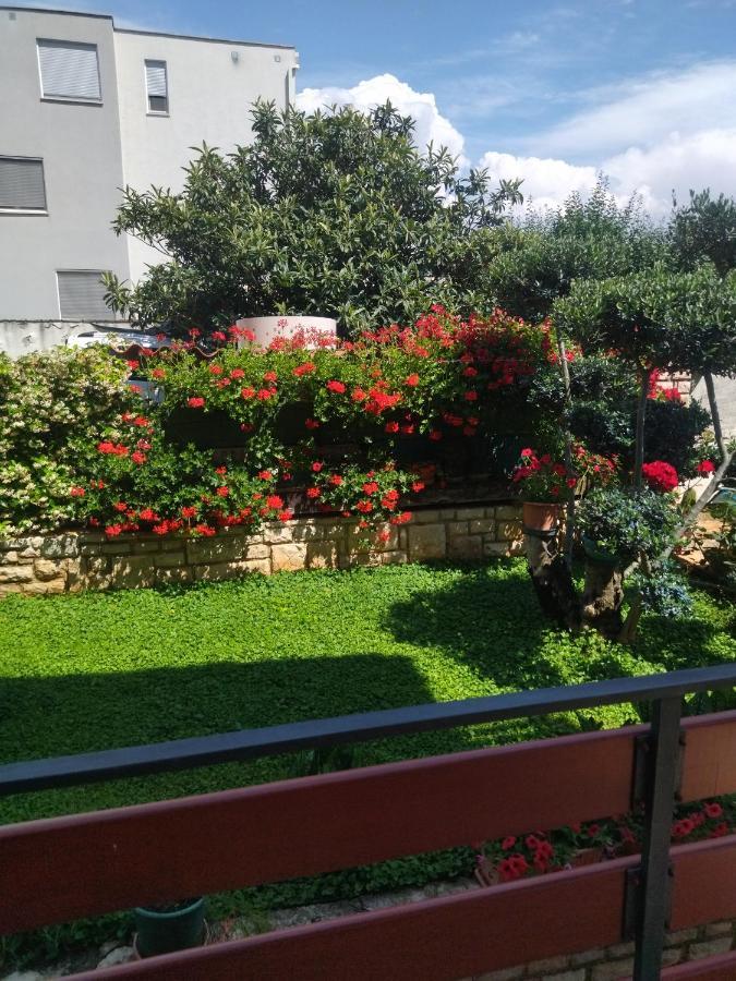 Zelena Oaza Apartment Novigrad Istria Dış mekan fotoğraf