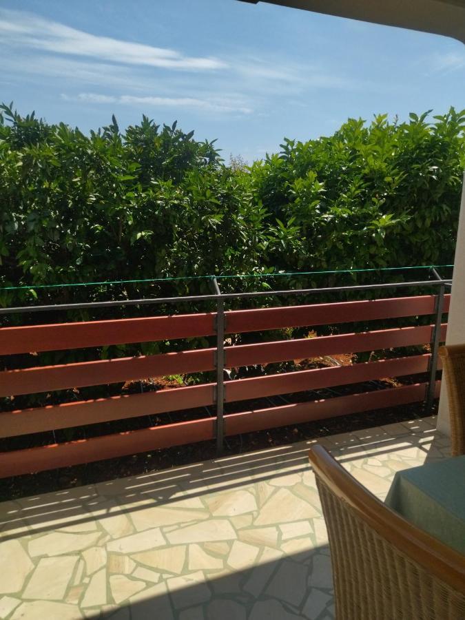 Zelena Oaza Apartment Novigrad Istria Dış mekan fotoğraf