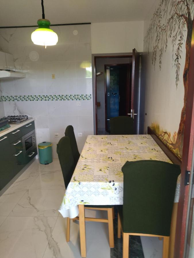 Zelena Oaza Apartment Novigrad Istria Dış mekan fotoğraf