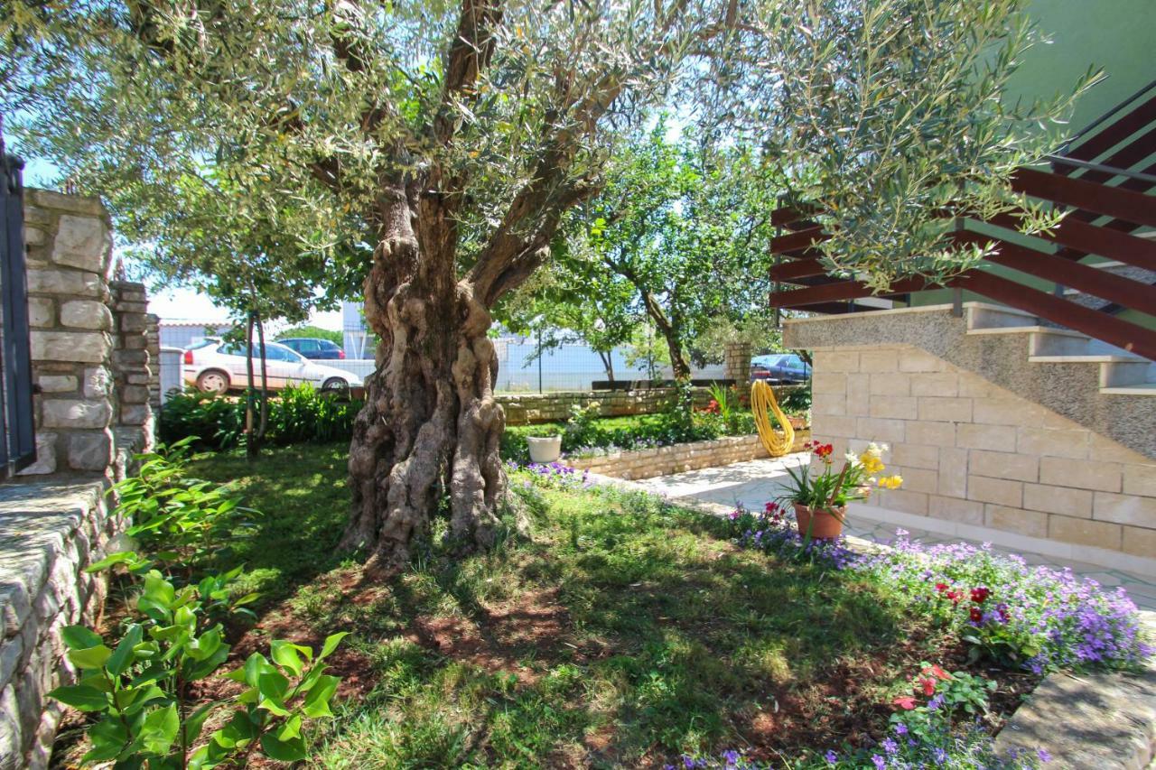 Zelena Oaza Apartment Novigrad Istria Dış mekan fotoğraf