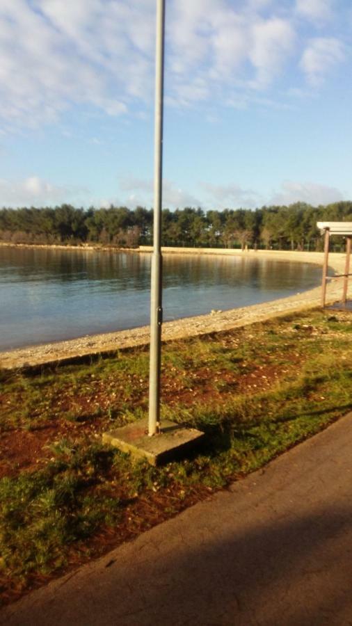 Zelena Oaza Apartment Novigrad Istria Dış mekan fotoğraf